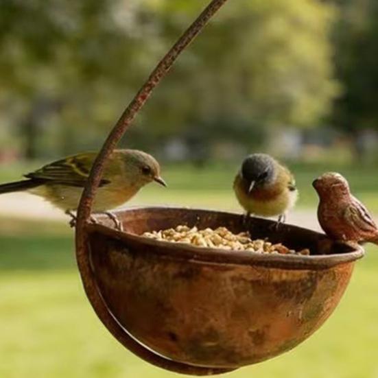 Outdoor Hanging Bird Feeder, Garden Metal Bird Feeder with Curled Hook, Decorative Wild Bird Feeder for Hanging On Tree Branches Balcony Porch