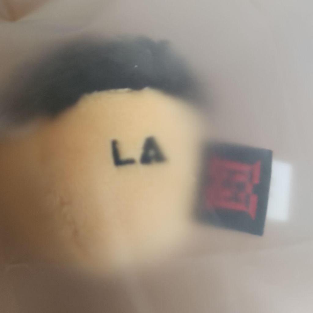 [USED] BTS J-HOPE Exhibition Acorn Keyring Los Angeles LA