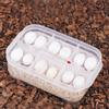 Transparent Plastic Professional Gecko Snakes Lizards Reptiles Eggs Breeding Incubator Tray Hatcher Box