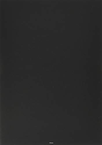 Evangelion: 1.0 You Are (Not) Alone Complete Record Collection Visual Story Edition and Setting Document Edition ([Variety])