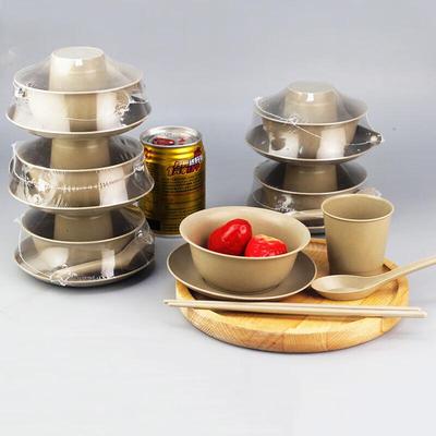 Pabei Biodegradable 5-Piece Disposable Tableware Set