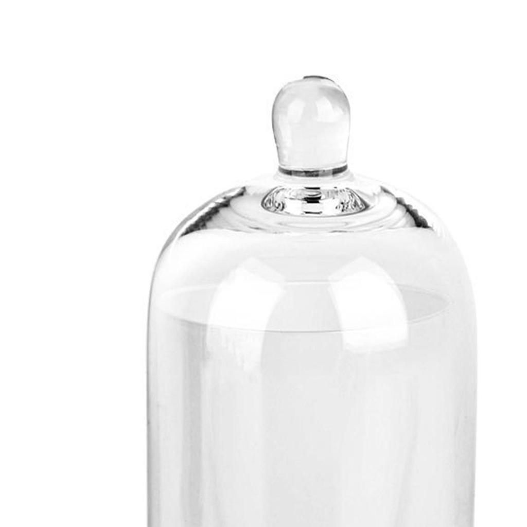 Cloche Glass Dome Candle Holder with Top Handle for Candy Nuts Aroma Stones