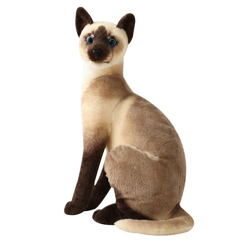 Siamese Cat Plush Toy: Early Education Comfort Gift for Children, Home Decor Ornament