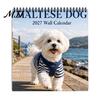 Thick Paper Monthly Planner 2027 Maltese Wall Calendar, Cute Dog Photography Hanging Pet Jan.2027-Dec.2027 12 for Home Office Academic Organizer
