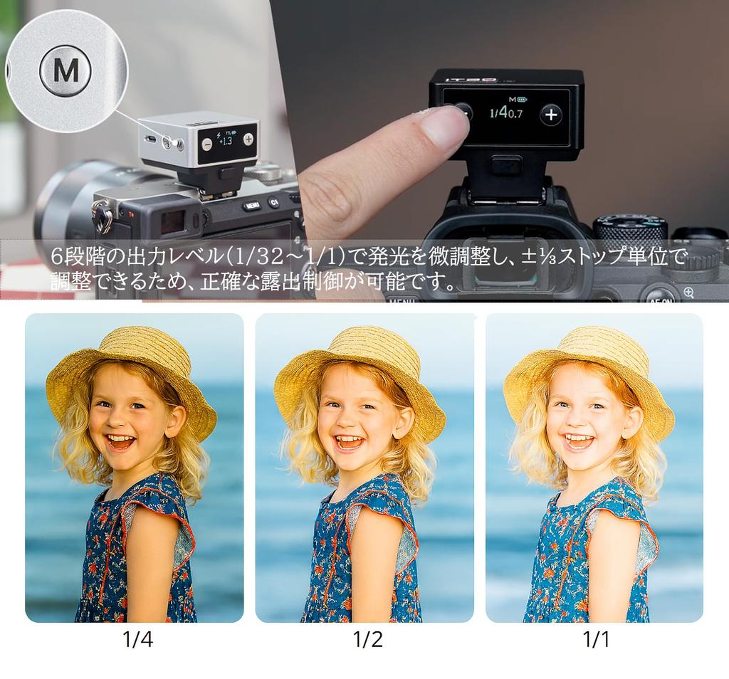 Godox iT20S Flash for Compact yet 700 Full Recycle TTL Auto and M Manual Lightweight Design at Just Black Japanese Instruction On-Camera Sony,