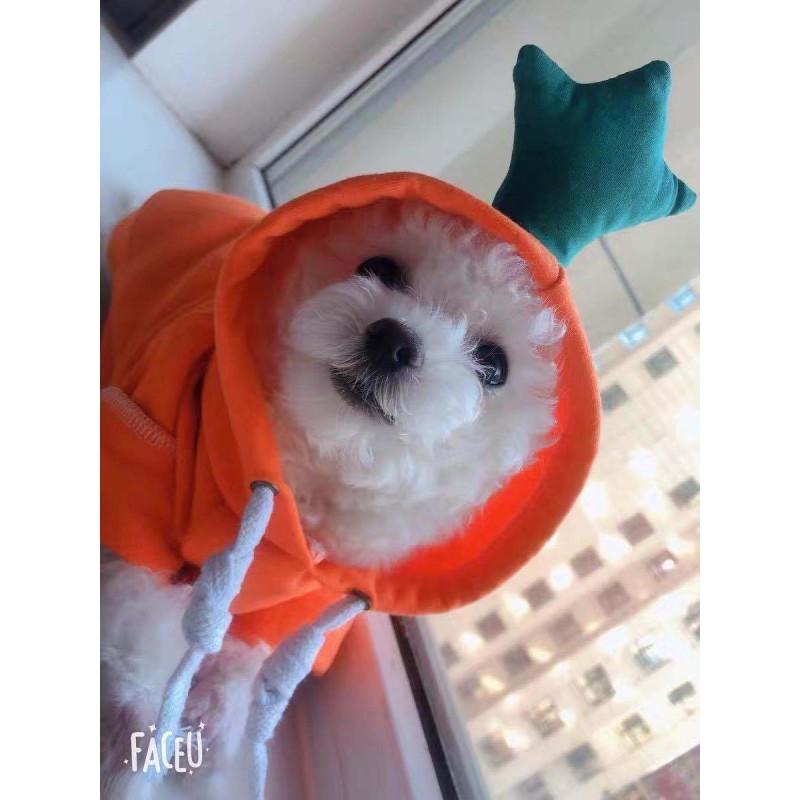 Pet Hoodie Small Medium Dogs Cats Winter Warm Fleece Dog Sweater Cat Clothing Cute Cheese Print