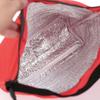 Stylish Insulated Cooler & Lunch Bag for Travel & Picnics
