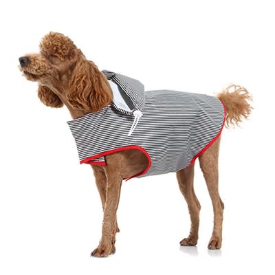 Striped Raincoat