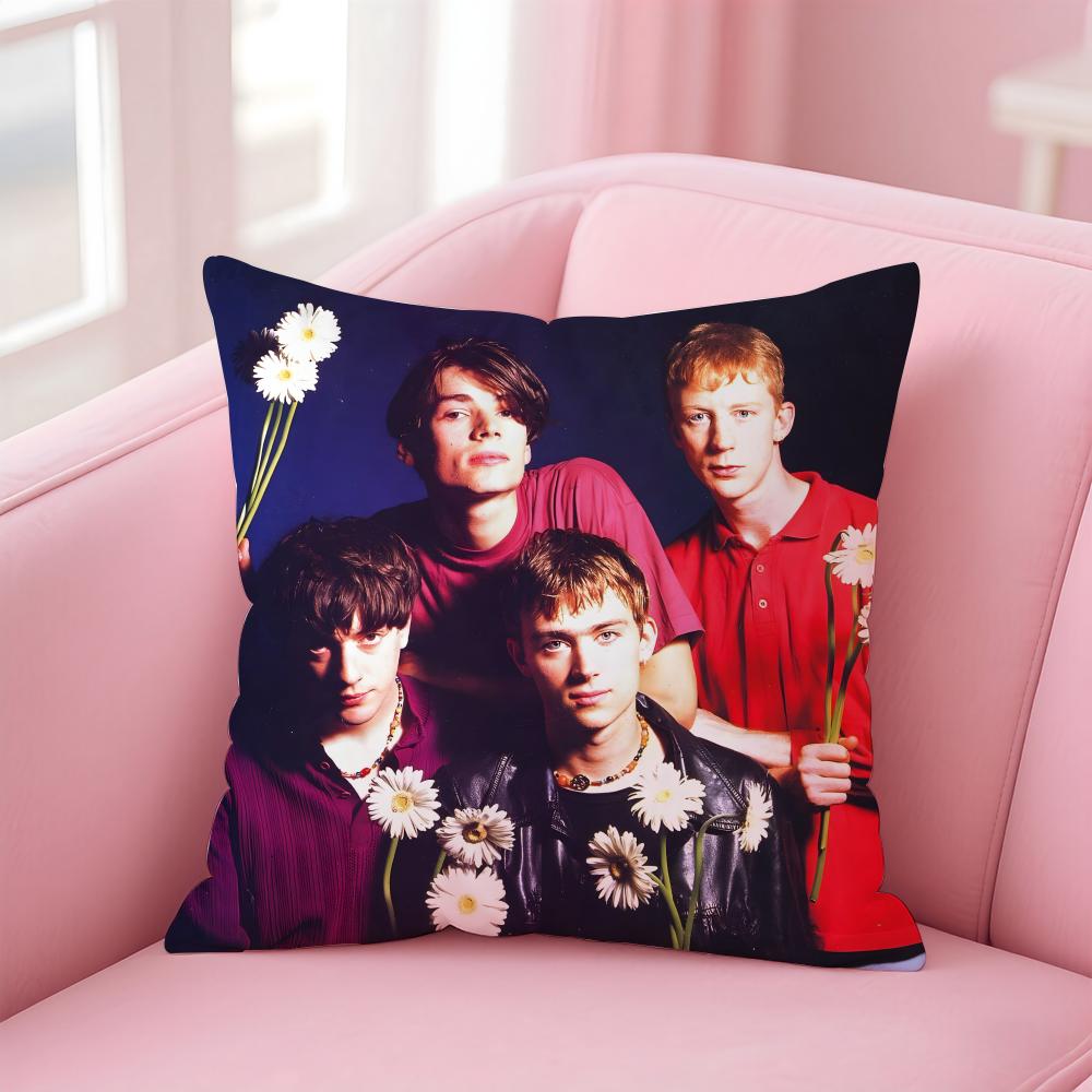 BBlur Cushion Cover Pillow Case Soft Friendly Fabric Concealed Zipper