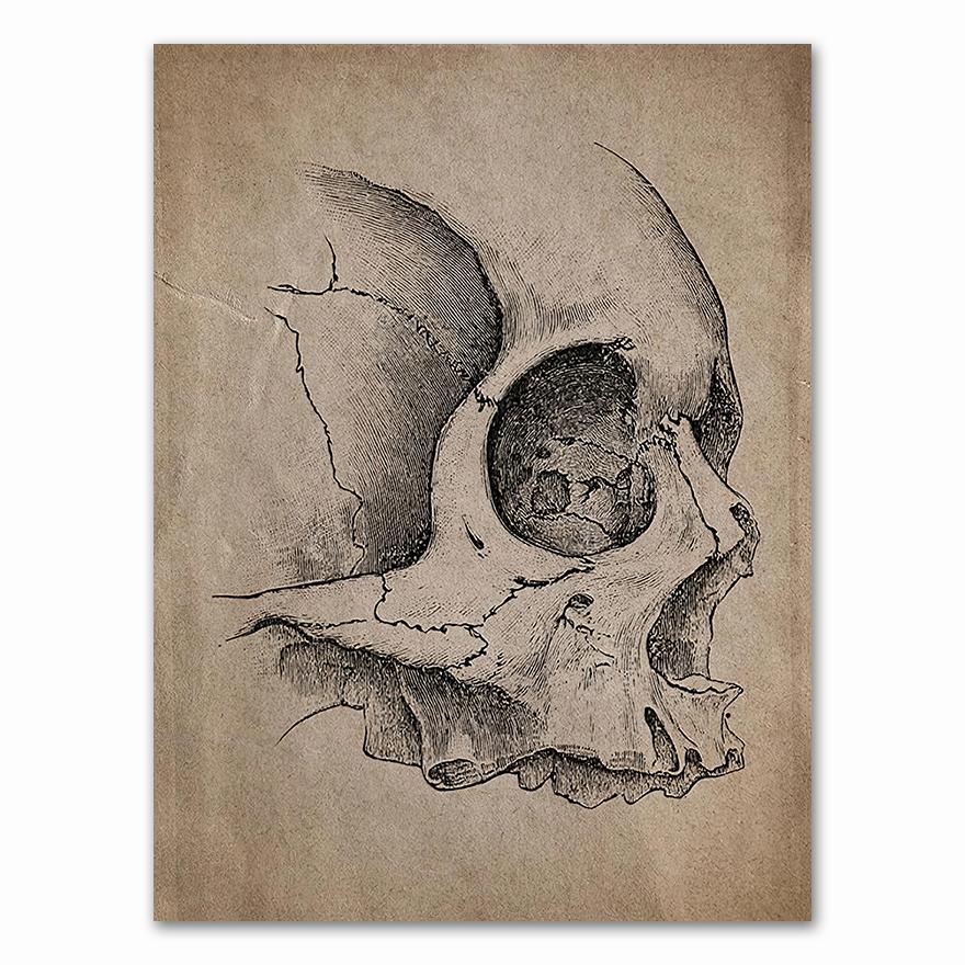 Anatomy skeleton Patent Vintage Poster Wall Art Print Canvas Painting Nordic Posters And Prints Wall Pictures For Living Room