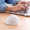 SANWA Ergonomic Vertical Silent Wireless Mouse