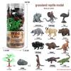 Frog Life Cycle Model Set: Tadpole to Frog Educational Toys for Kids