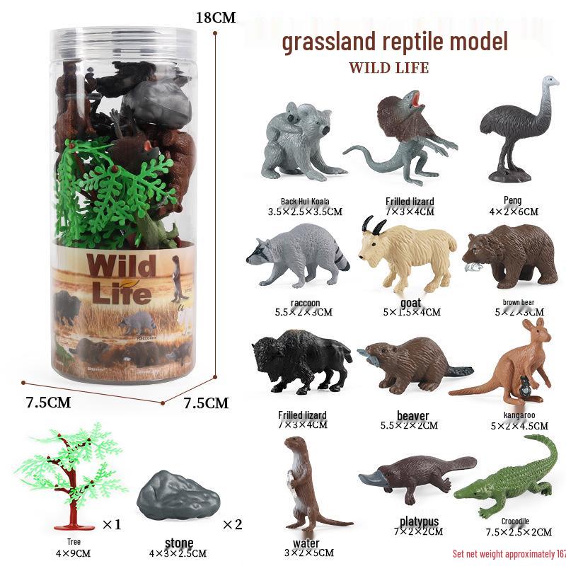 Frog Life Cycle Model Set: Tadpole to Frog Educational Toys for Kids