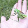True To Nature Insect Ornament Fridge Magnet Animal Display Outdoor Patio Animal Miniature Garden Ornament Decor Toy Craft Gift