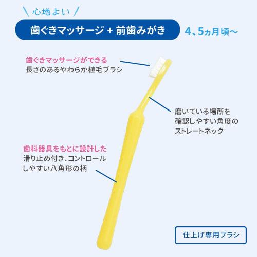 PIGEON Baby Teeth Care Finishing Gum Massager - Front Teeth Brushing for 4-5 Months - White