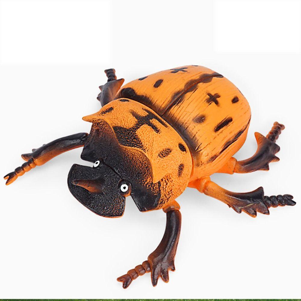 Cricket Simulated Insect Model Spiders Simulation Wildlife Model Science Toy   Children Gifts