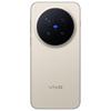 vivo X300 Pro AI 5G Smartphone with Zeiss 200MP Super Telephoto Camera (CN version)