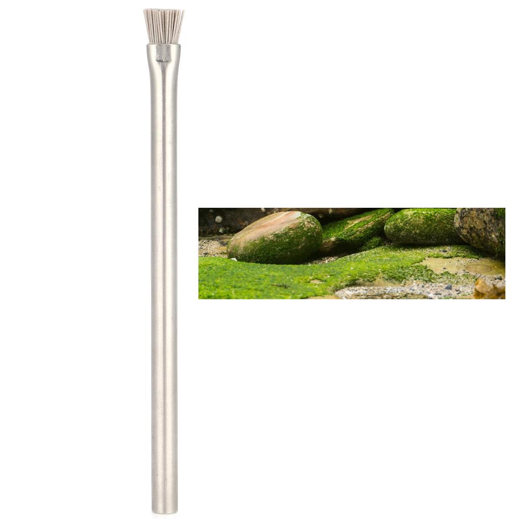Fish Tank Stone Algae Brush Aquarium Stainless Steel Cleaning Brush for Concrete