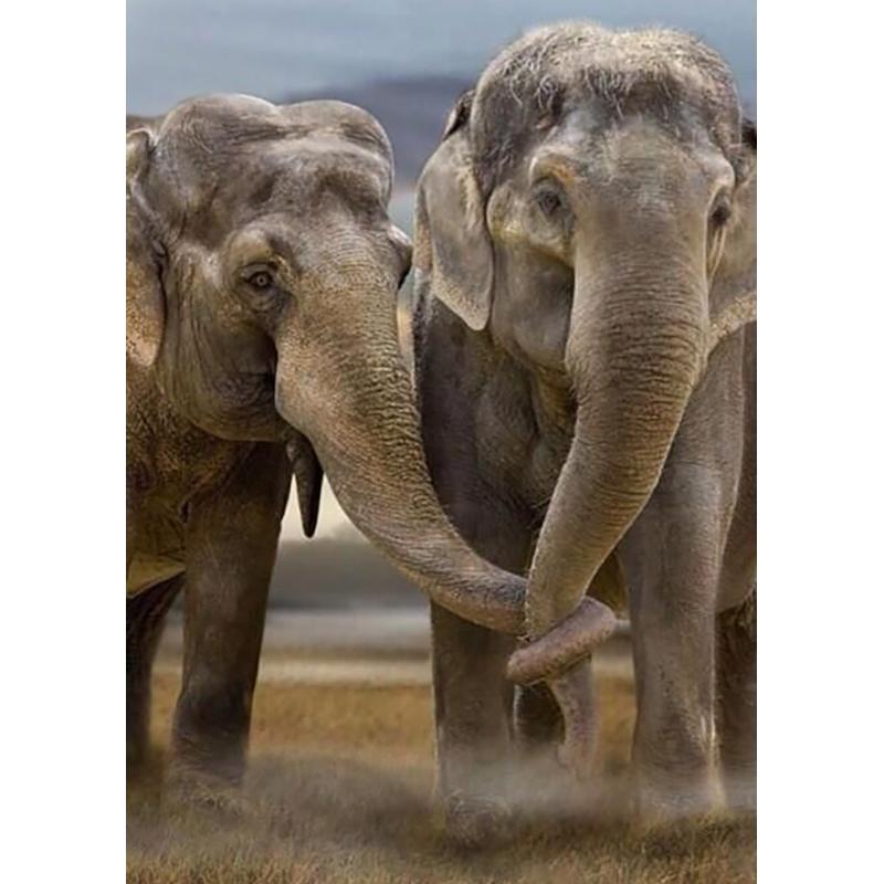 DIY 5D Diamant Malerei Tiere Elefant Stickerei Kreuzstich Kit voller Rundbohrer Mosaik Wand Kunst Harz Geschenk Home Decor