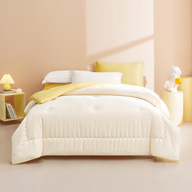 Hodo Soybean Fiber Thickened Winter Quilt