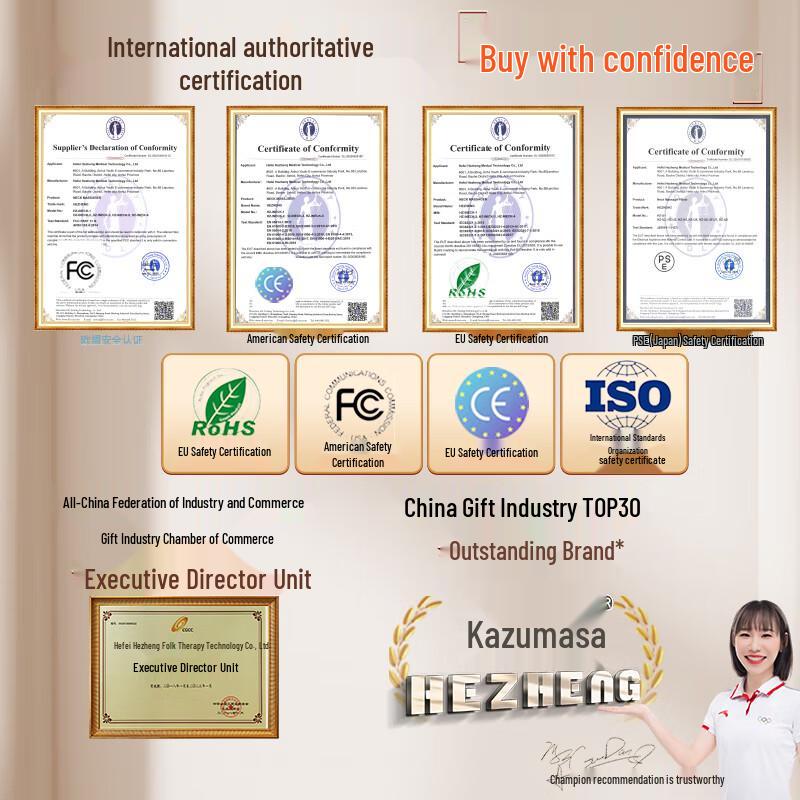 Hezheng 3D Head Massager CN plug (adapter included)