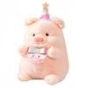 Birthday Party Gift Pink Pig Plush Toy Doll Plush Birthday Gift Pink Pig Doll Girl Doll