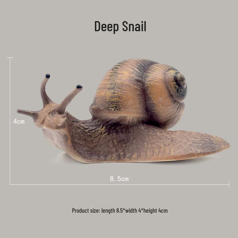 

Simulated Snail Growth Cycle Science Toy for Kids
