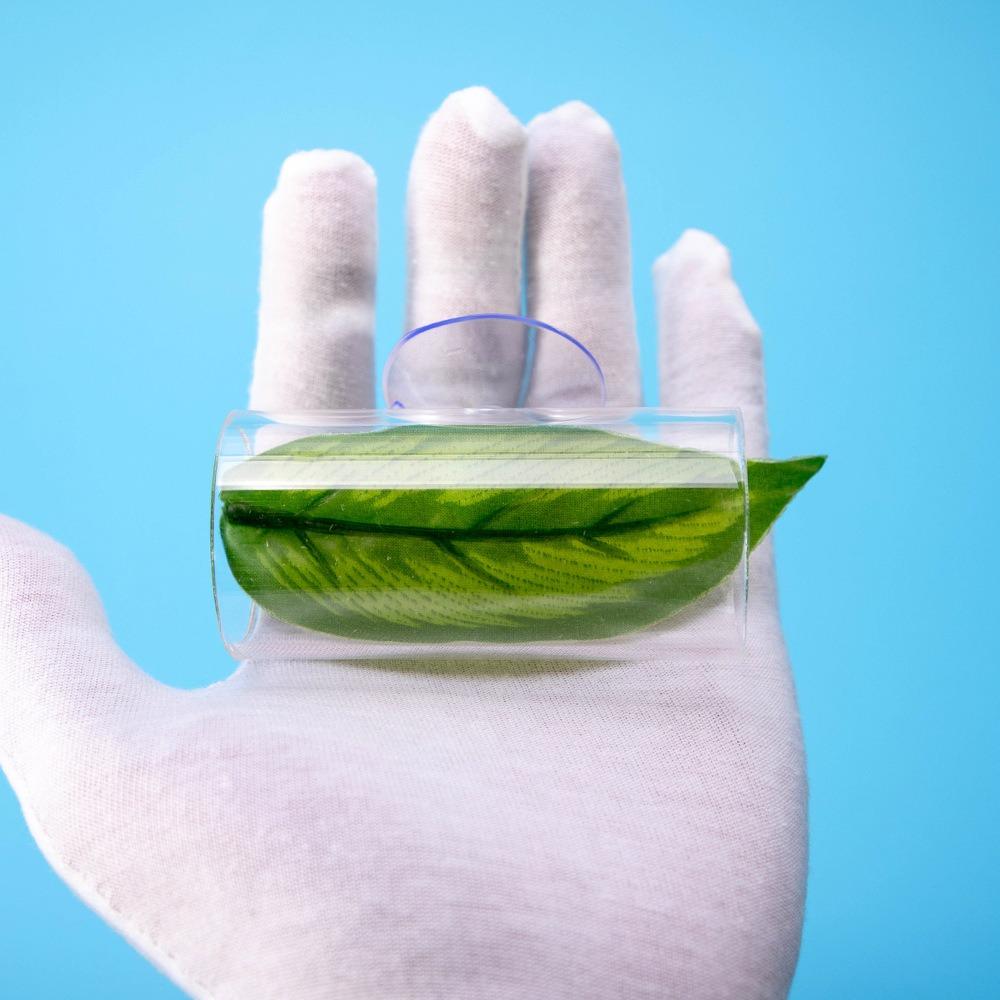 Transparent Aquarium Betta Fish Tunnel With Leaves Pad Betta Fish Tank Decorations