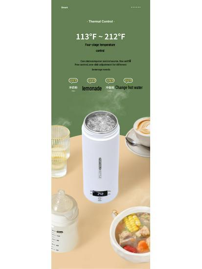 Portable Electric Kettle - 110V US, UK, EU Standards