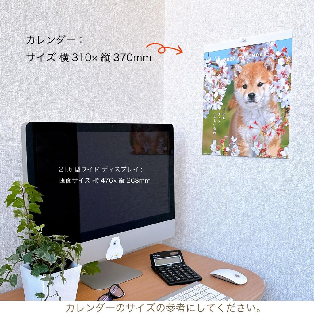 Active Corporation 2027 DOG Wall Calendar, Cute Dog Photos with Inspiring Messages, Jan-Dec 2027, Sunday Start, Made in Japan, 27ACL-01