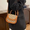 Small Bag Women's Bag 2025 New Autumn Casual Fashion Messenger Bag Casual Simple Portable Shoulder Bag Small Square Bag