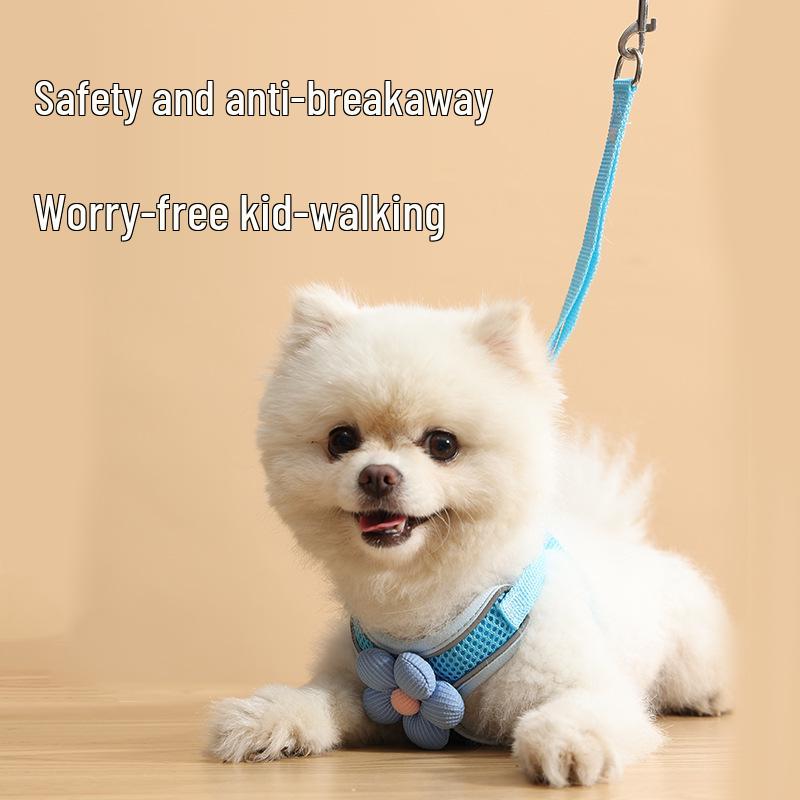 Small Dog Harness and Leash Set - Vest-Style for Teddy, Bichon, and Other Small Breeds