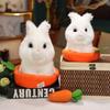 22 /28cm Funny Rabbit Carrot Nest Plush Toys Super Charming Fluffy Rabbit Dolls Creative Car Home Decoration Gift Kids Photo Props