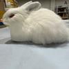 15Cm Realistic Plush Rabbits  Lifelike Animal Easter Bunny Toy Birthday Gift