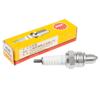 Spark Plug Ngk Cr7Hsa Scooter 4-Stroke