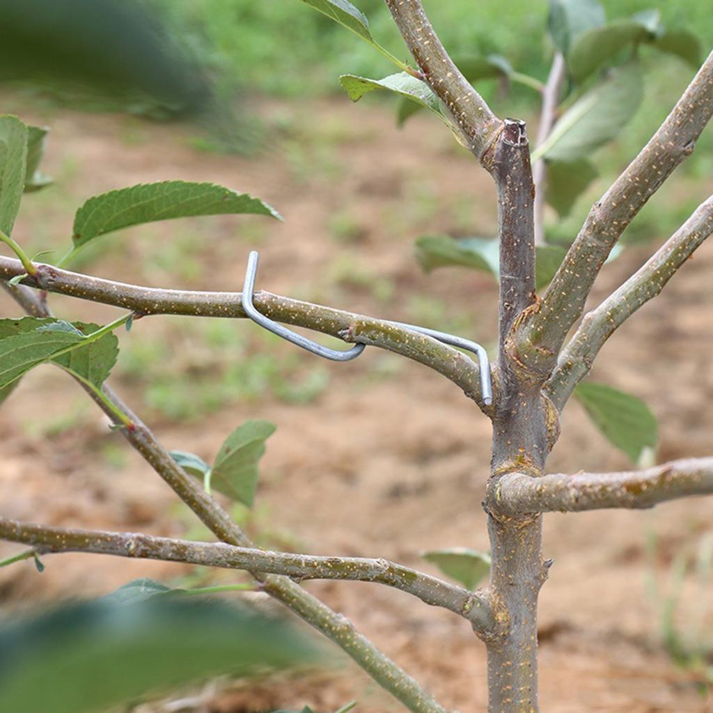 20/50/100Pcs Fruit Tree Branch Puller Tying Machine Farm Tool Plum Tree Open Angle Pull Branch Bending Tool Fruit Branch