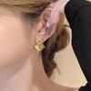 Irregular Frosted Stud Earrings for Women – 2024 Stylish Niche Design with Silver Needle for a High-End, Fashionable Look