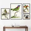Papagei Vogel Vintage Wand Kunst Bunte Kolibri Leinwand Malerei Nordic Poster und Drucke Wand Bilder für Wohnzimmer Dekor Kein Rahmen