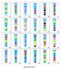 Wooden Test Tube Sorting Game for Kids: Enhances Hand-Eye Coordination and Color Recognition