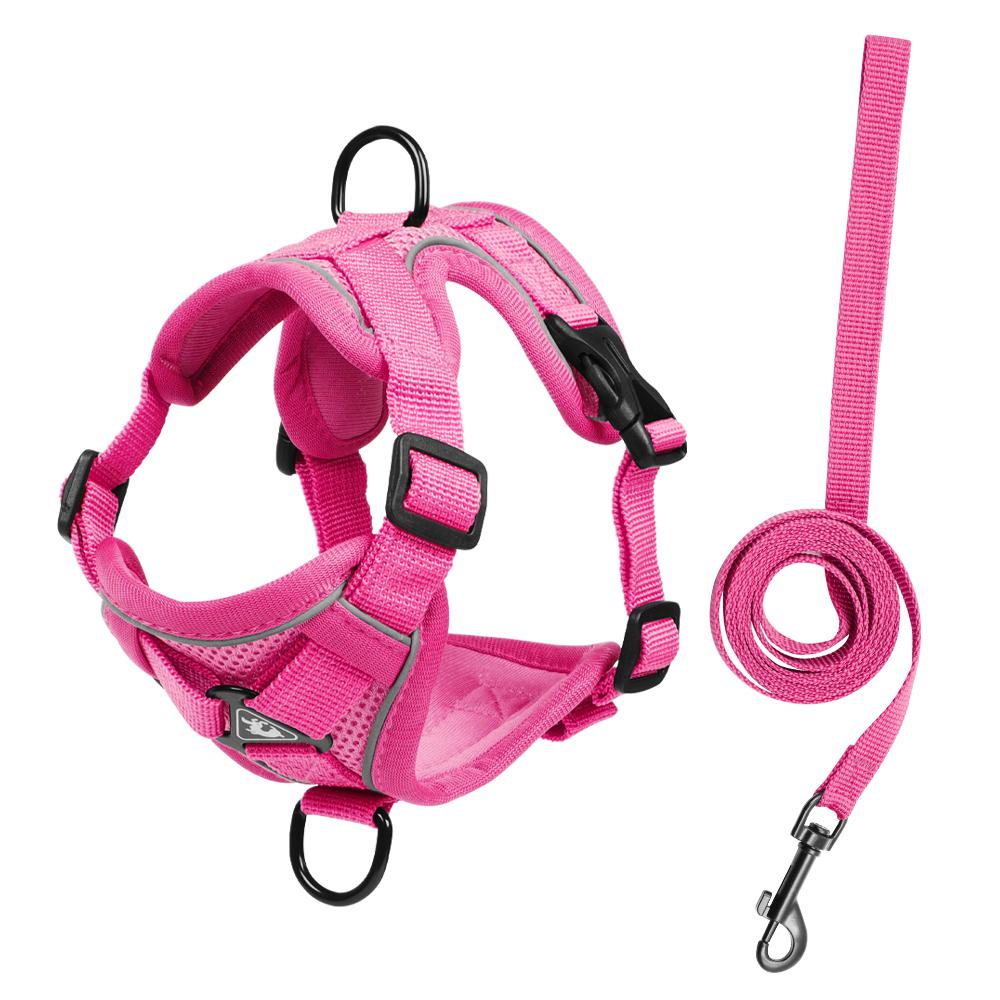 No Pull Dog Harness Adjustable Reflective Soft Mesh Pet Vest Front Clip Walking Harness for Small Medium Dogs