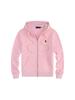 Men's Fleece-Lined Little Pony Embroidered Hoodie - Autumn/Winter, Loose Fit, Plus Size, Solid Color, Polo Style