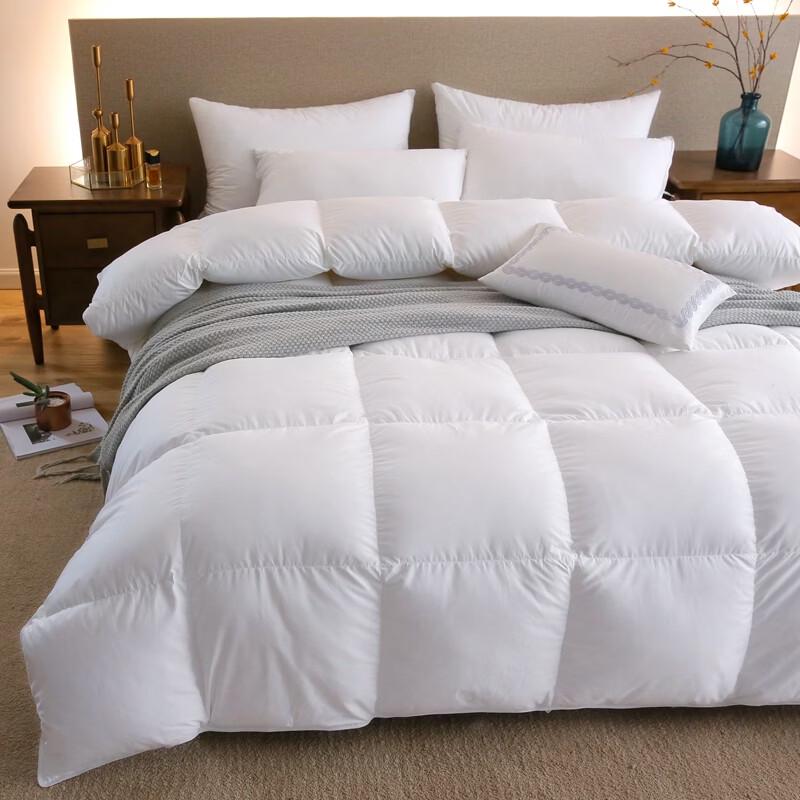 Baiweisi All-Season Velvet Feel Duvet Insert
