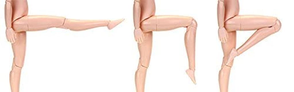 Obitsu Doll 24cm Obitsu Bust New Natural 24BD-F02N-L Body, L,