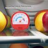 Refrigerator Freezer Thermometer Large Dial Thermometer (Mechanical)