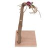 Bird Playstand Wooden Chewing Claws Grinding Parrots Training Rack with Base for Cockatiel