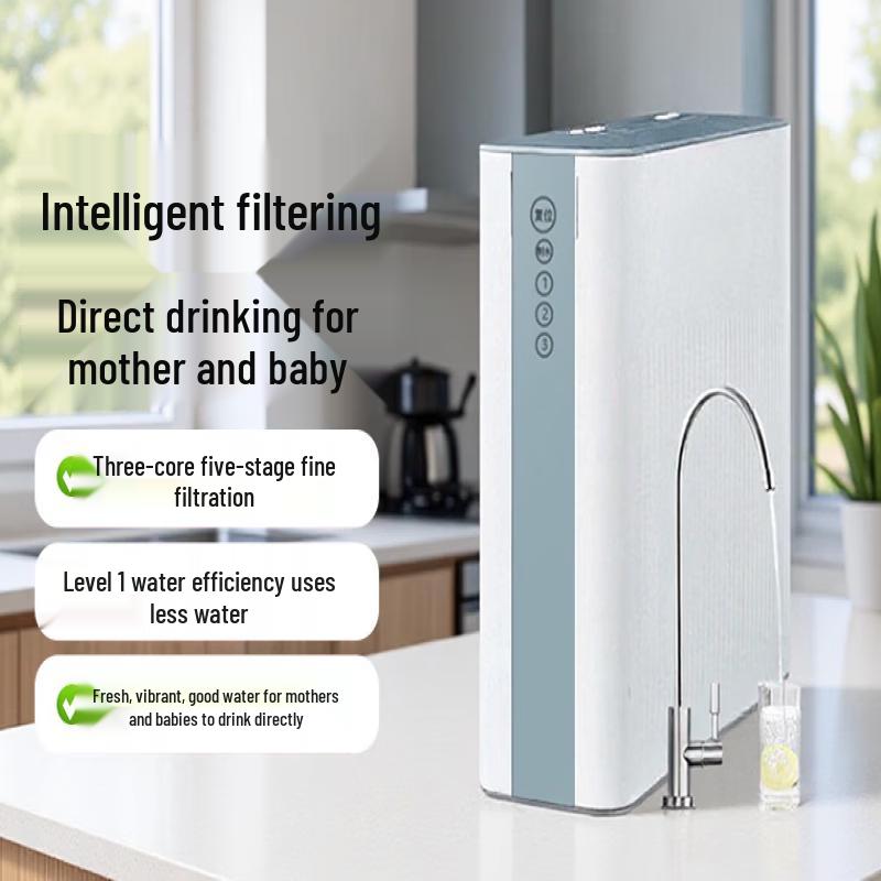 LISM Reverse Osmosis Water Purifier
