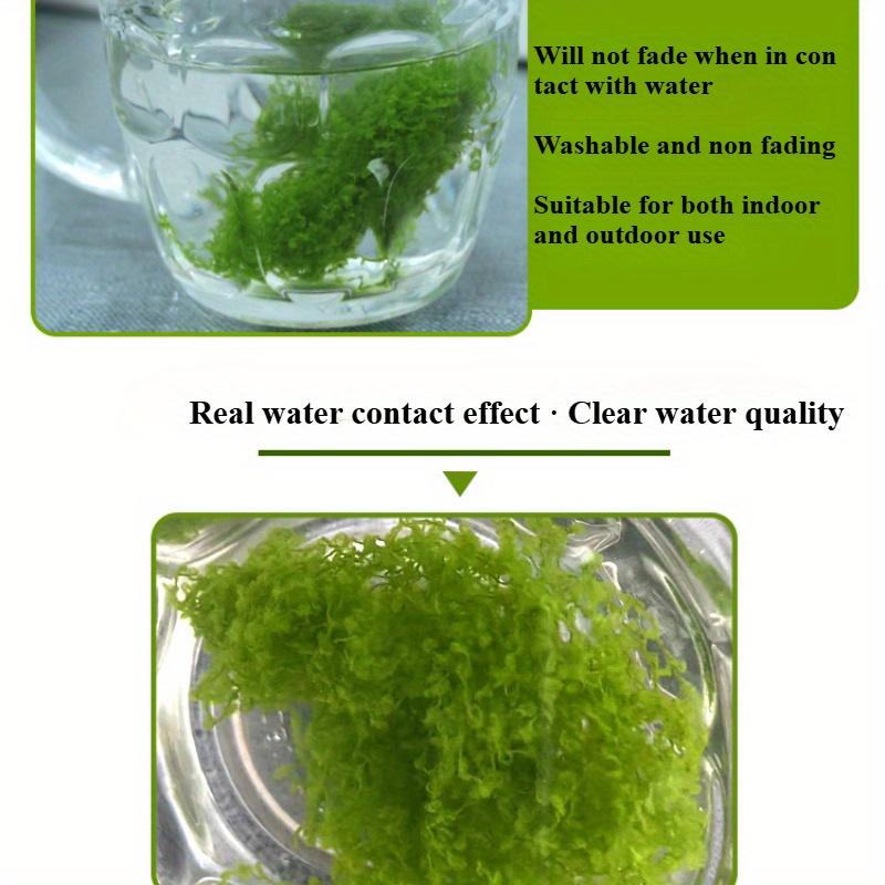 30g Model Material Sand Table Tree Powder Sponge Shrub Unity Block Model Low Shrub Dark Green Scene