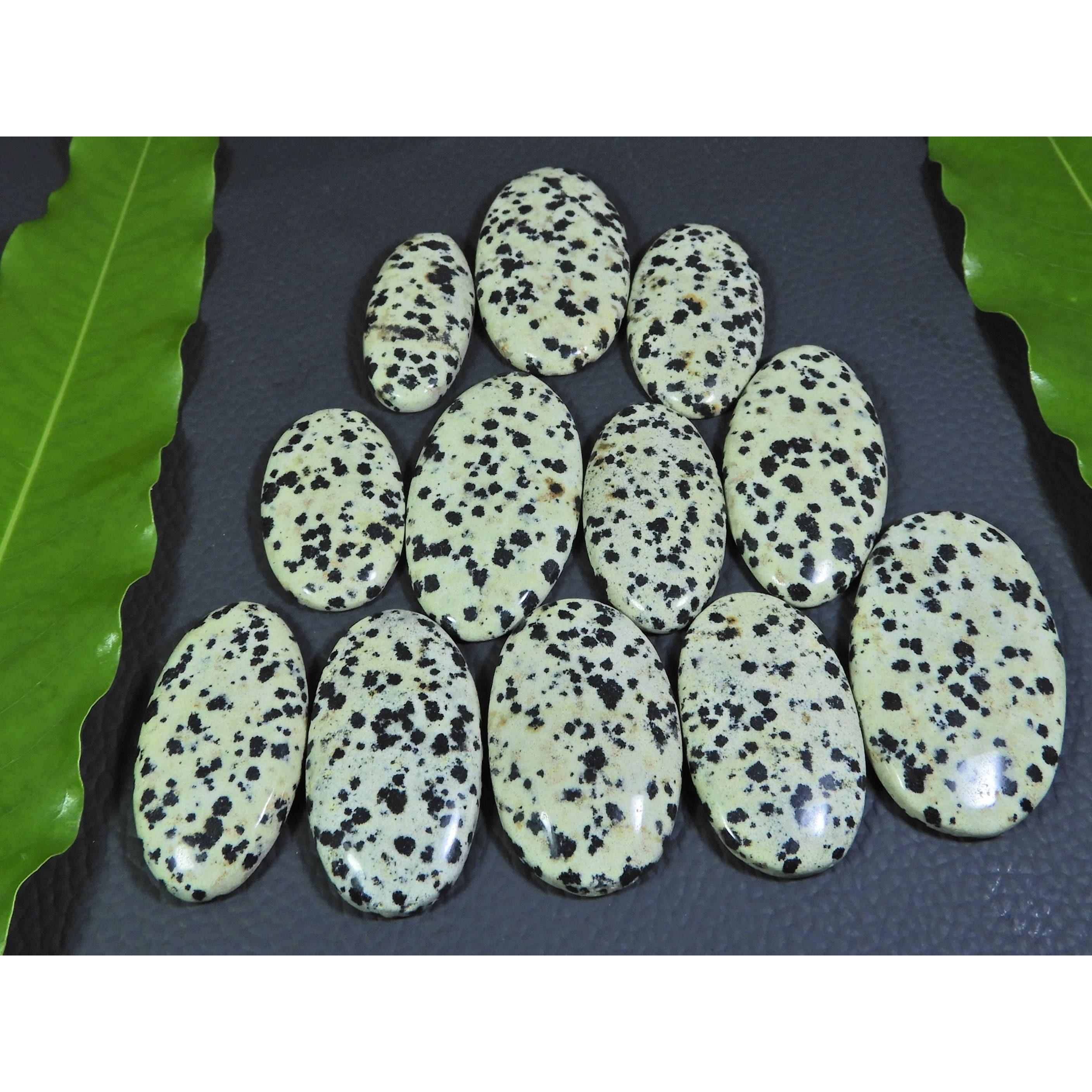 

403Cts. Natural Dalmation Jasper Oval Cabochon Loose Gemstone 12 Pcs Lot A-377