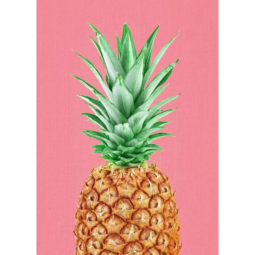 Tropical Plants Poster and Print Toucan Bird Flamingo Parrot Pineapple Canvas Painting Nordic Wall Art Picture Home Decor Cuadro