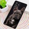 Funny french bulldog Phone Case for Samsung Galaxy note 10 pro S26 Ultra S23 S24 FE S25 S21 S22 PLUS shockproof Cove